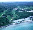 Bahamas Resort - Blue Shark